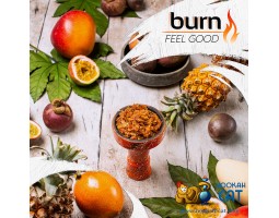 Табак Burn Feel Good (Тропический Коктейль) 100г Акцизный